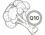 CoQ10