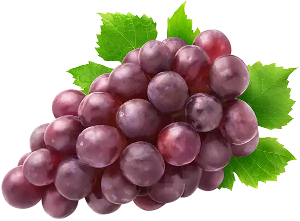 Red grapes with leaves