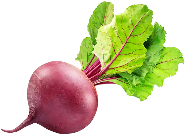 Red beet with leaves