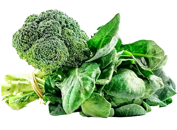 Bundle of fresh broccoli and spinach