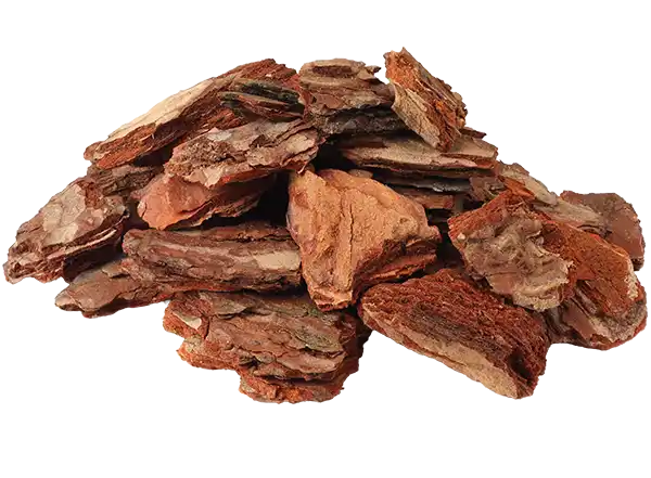 Pile of maritime pine bark