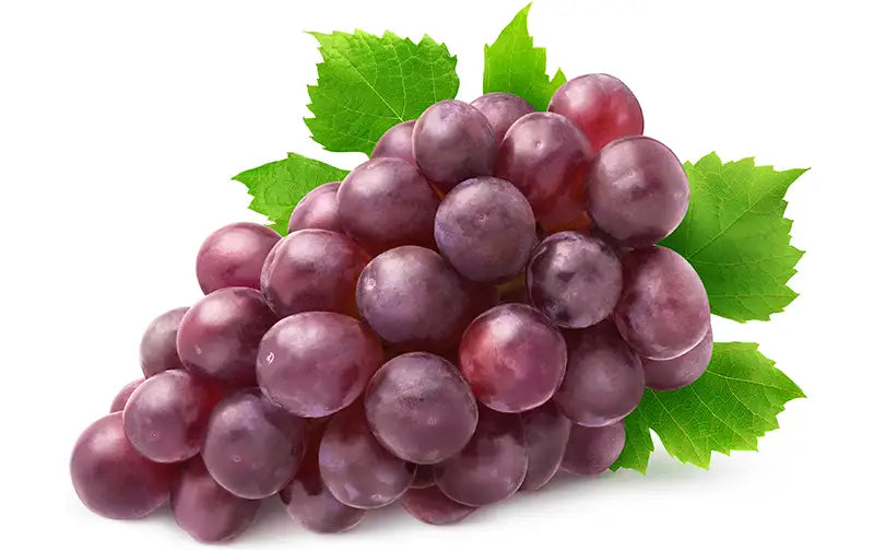Grape Seed
