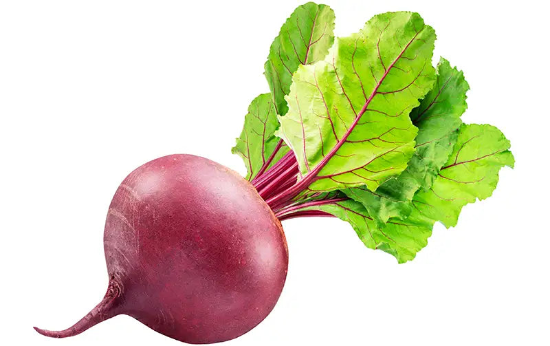 Beet Root